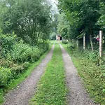 Borenovice