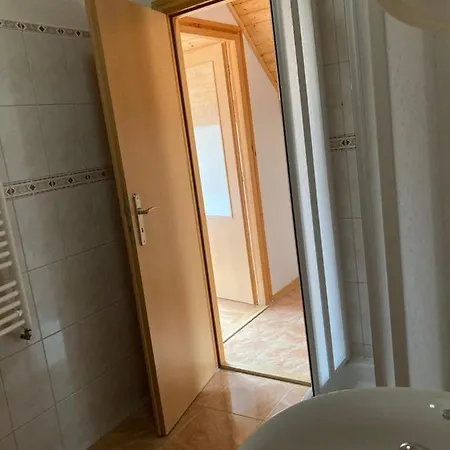 Borenovice Guest house *