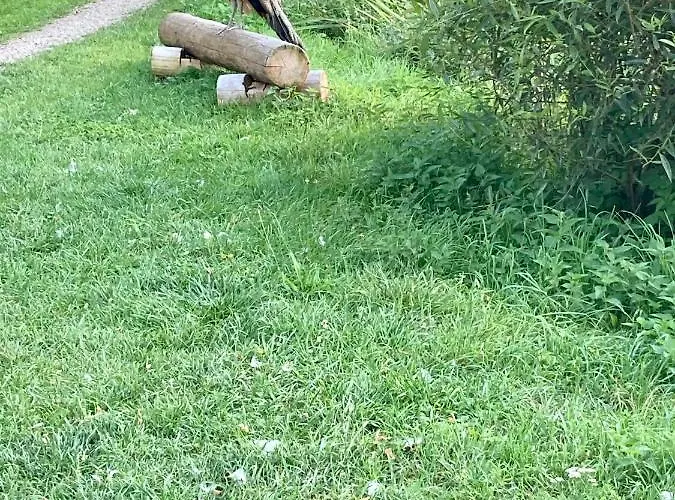 Konukevi Borenovice 3*